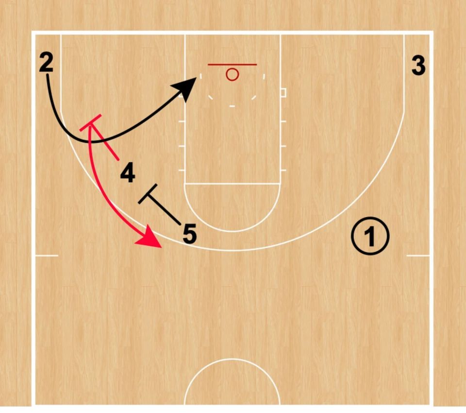 小波特采用, ex, com